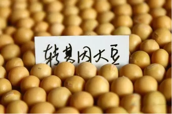 QQ图片20160316172047.png