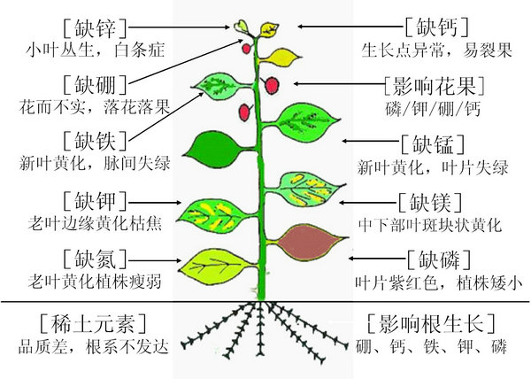 1-1406261H15QU.jpg
