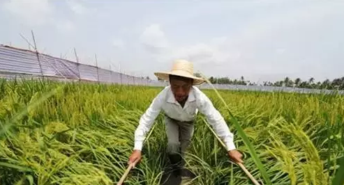 1458693642008043163.png 截图00.png