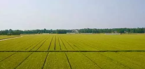 1458693719260033627.png 截图02.png