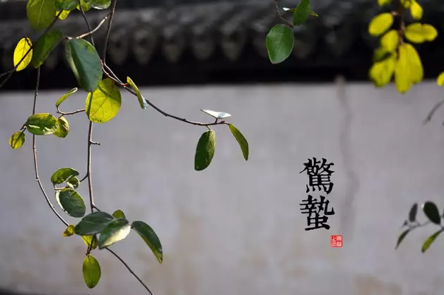 截图08.png