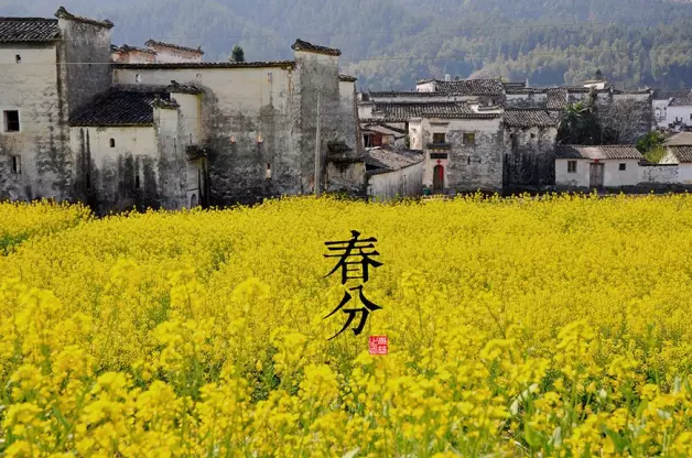 截图09.png