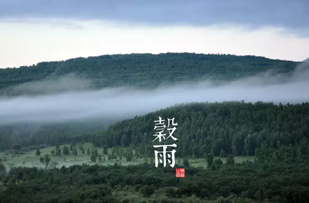 截图11.png