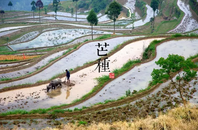截图14.png