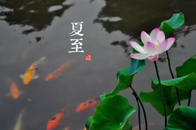 截图15.png
