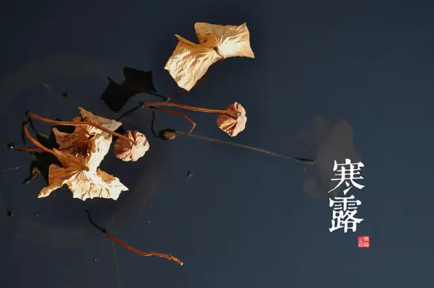截图22.png