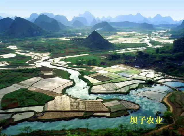 1460429333445031511.jpg 特色2.jpg