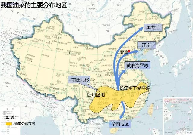 1460429474868004453.jpg 油料.jpg