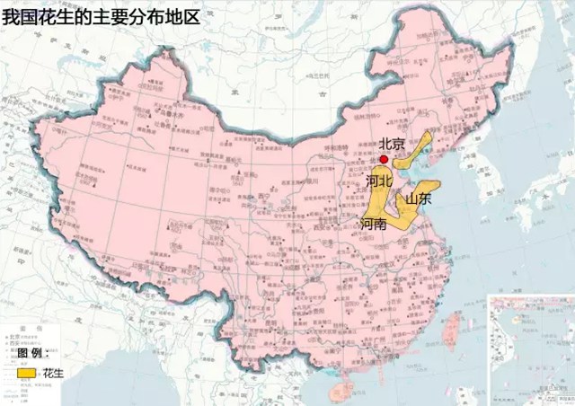 1460429487113039391.jpg 花生.jpg