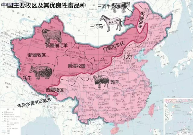 1460429631209061037.jpg 牲畜.jpg