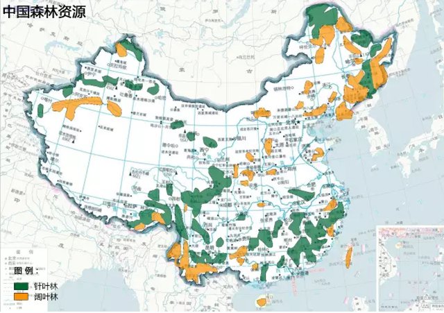 1460429666456092874.jpg 森林.jpg
