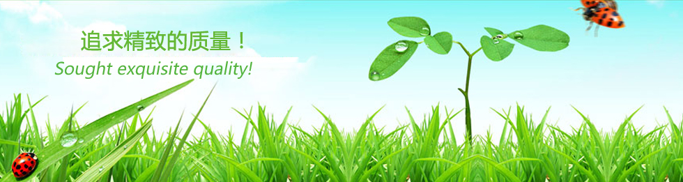 banner2.jpg