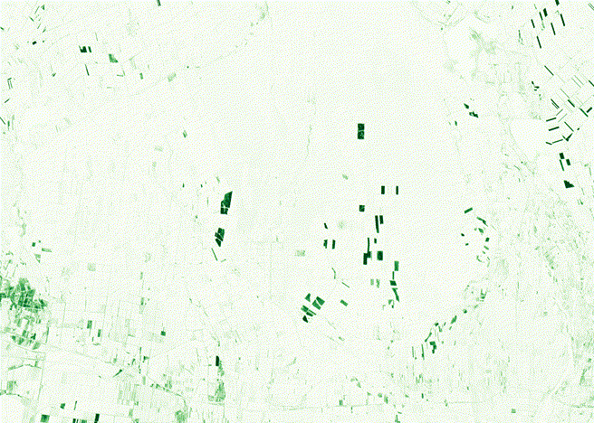 图片 00_00_00-00_00_30.gif