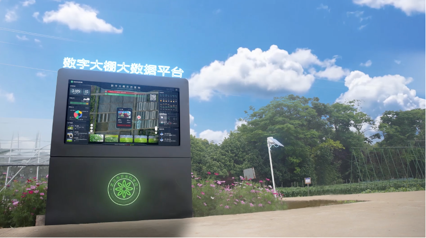 图片 1.png